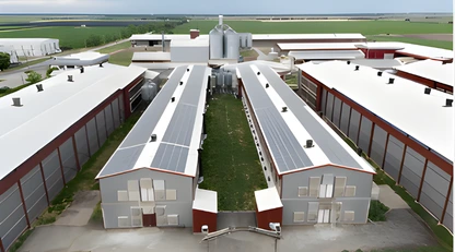 Kurulum ve uygulama desteği hizmeti görseli